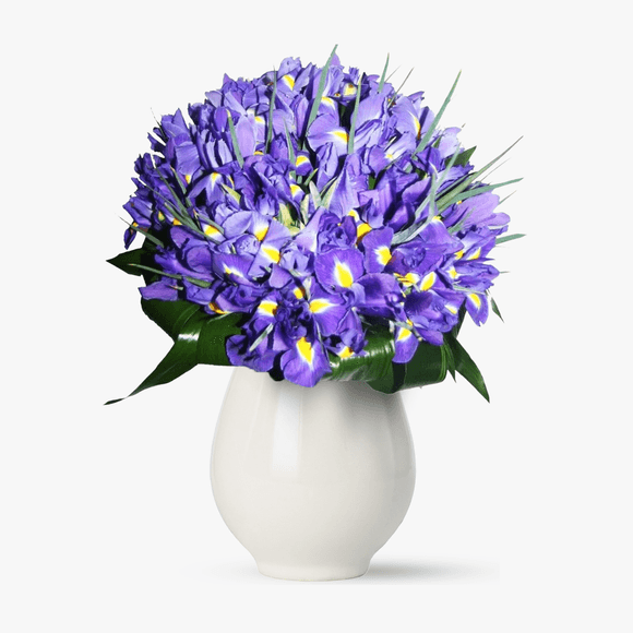 Bouquet of 65 irises purple