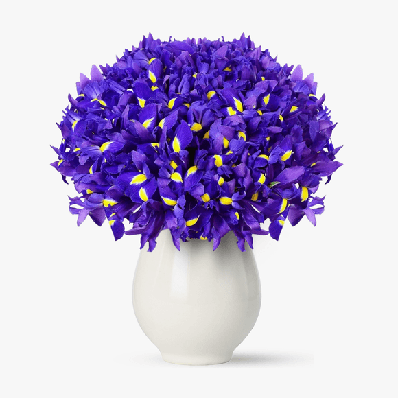 Bouquet of 101 irises purple