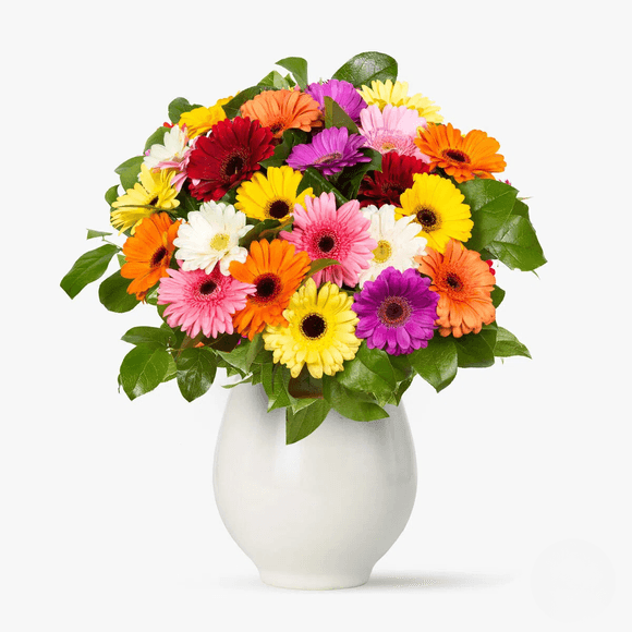 Buchet de 75 gerbera multicolore