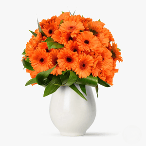 Buchet de 45 gerbera portocalii