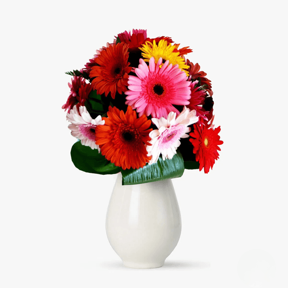 Buchet de 15 gerbera multicolore