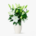 ezgif.com-webp-to