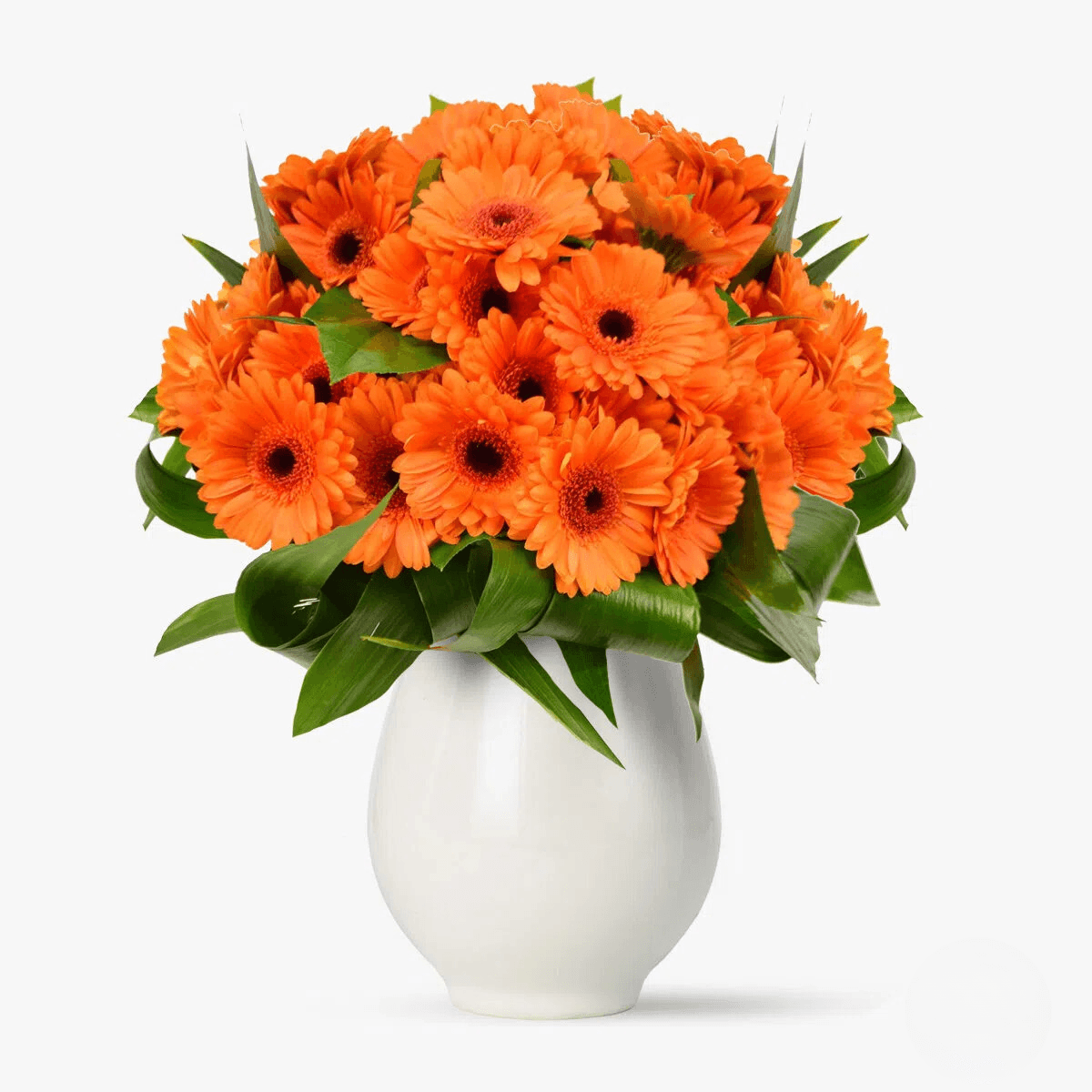 Buchet de 55 gerbera portocalii