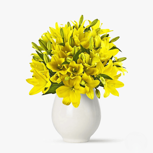 Bouquet of 35 yellow Asian lilies