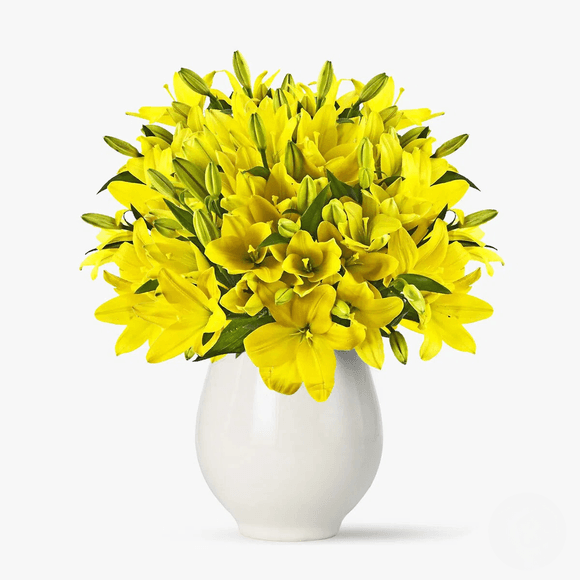 Bouquet of 55 yellow Asian lilies