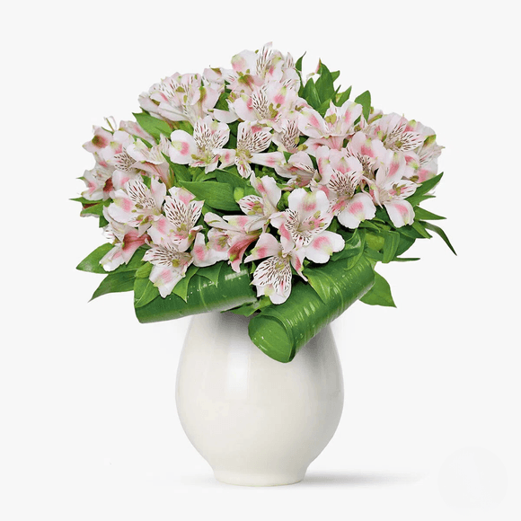 Buchet de 11 alstroemeria roz