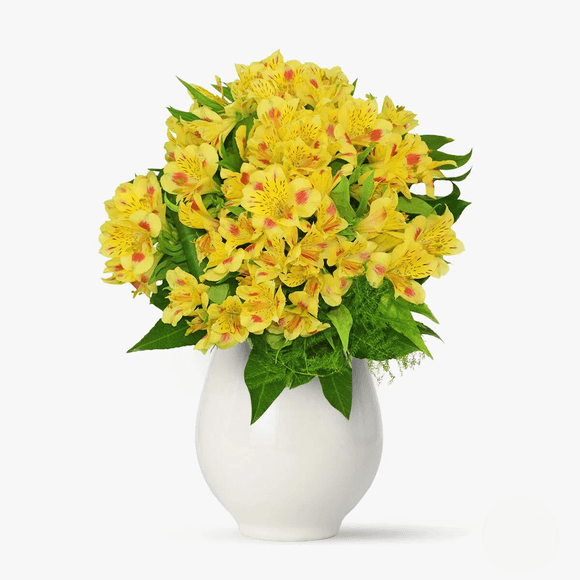 Buchet de 11 alstroemeria galbene