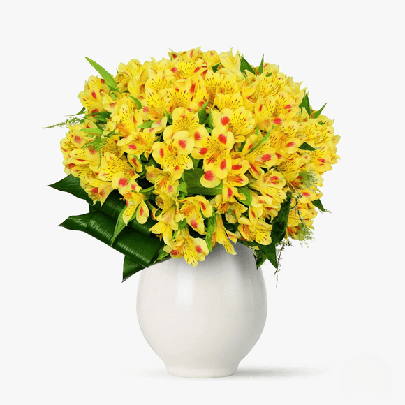 Bouquet of 35 yellow alstroemeria