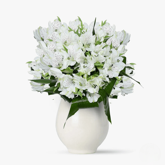 Buchet de 21 alstroemeria albe