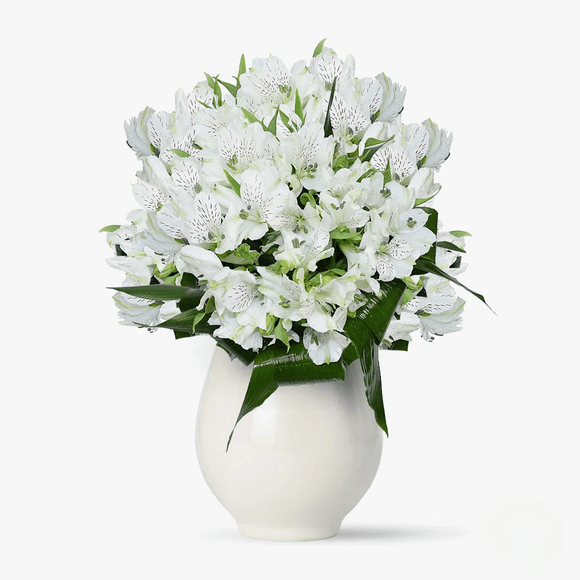 Buchet de 25 alstroemeria albe