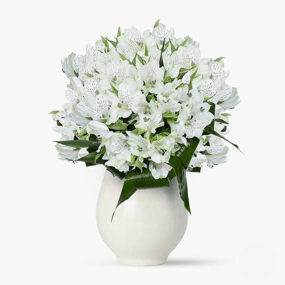 Buchet de 35 alstroemeria albe