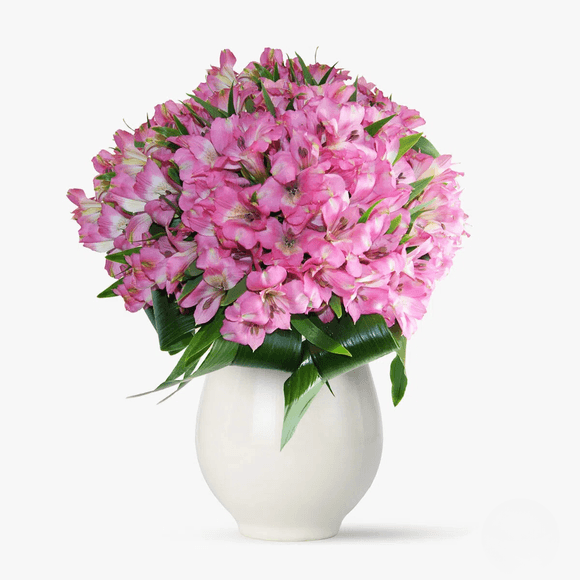 Buchet de 55 alstroemeria roz