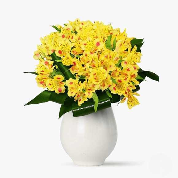 Buchet de 13 alstroemeria galbene