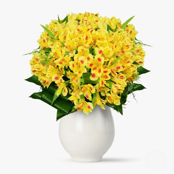 Bouquet of 21 yellow alstroemeria