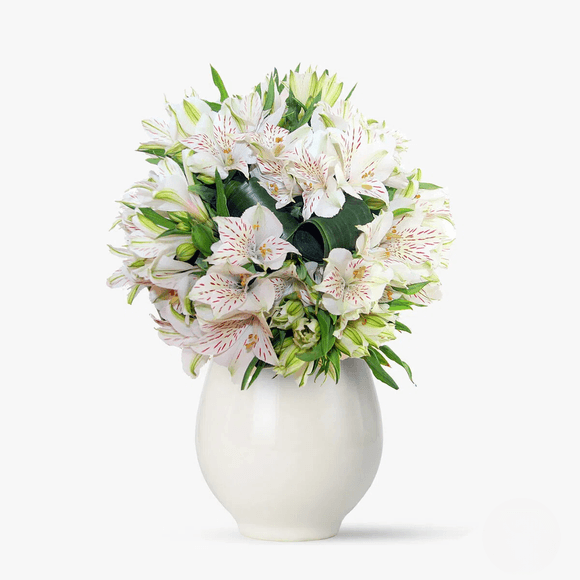 Buchet de 13 alstroemeria albe