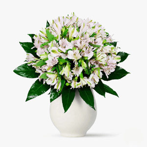 Buchet de 19 alstroemeria roz