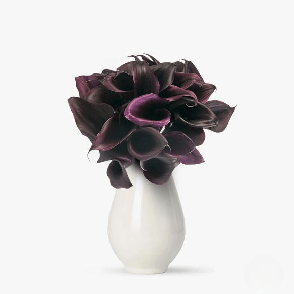 Bouquet of 29 black calla lilies