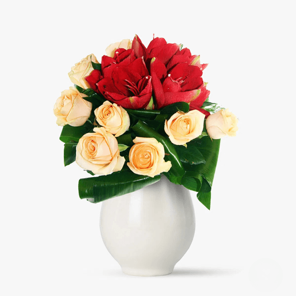 Bouquet of red amaryllis and ivory roses