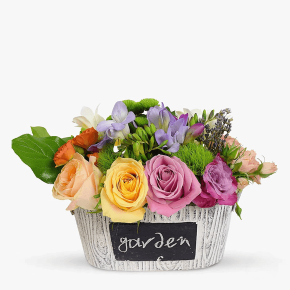 Floral Arrangement - Floral Gifts