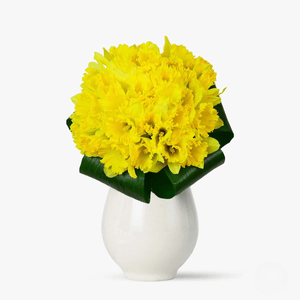 Bouquet of yellow daffodils