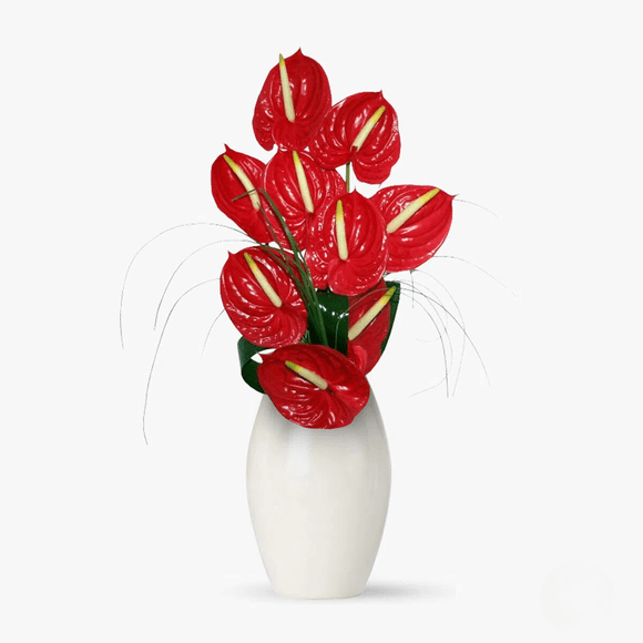 Bouquet of 9 red anthuriums