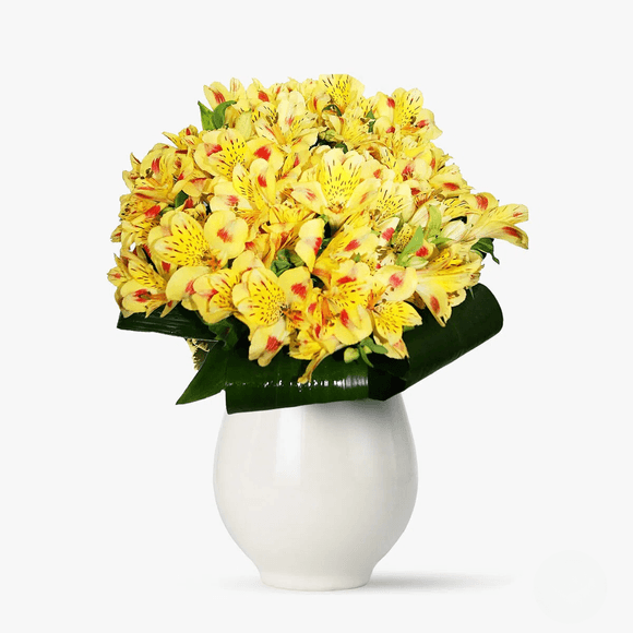 Bouquet of 25 yellow alstroemeria