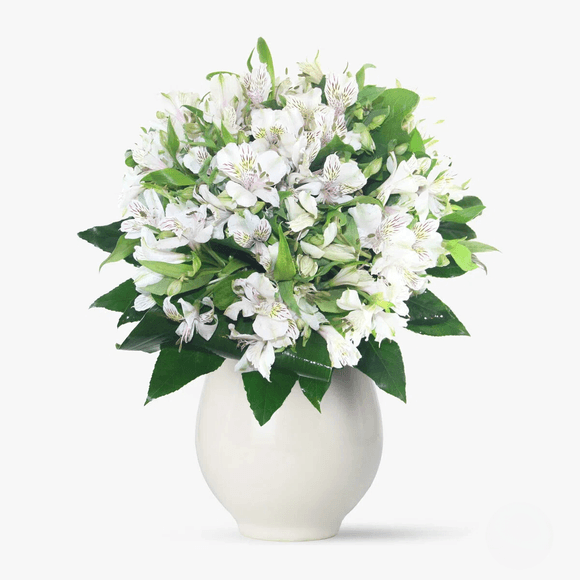 Buchet de 55 alstroemeria albe