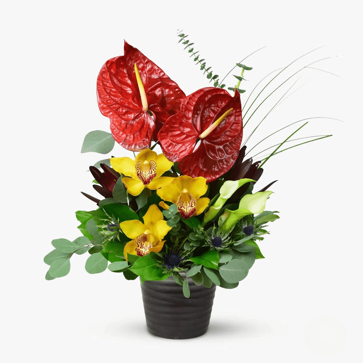 Calde urari florale – premium Calde imagine 2022