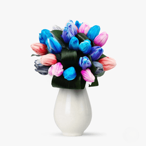 Bouquet of colored tulips by hydration