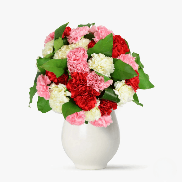 Buchet de 29 garoafe multicolore