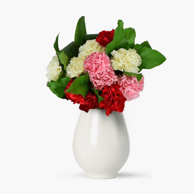 Buchet-de-11-garoafe-multicolore