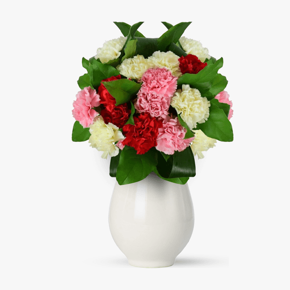 Bouquet of 13 multicolored carnations