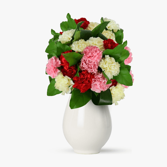 Buchet de 15 garoafe multicolore