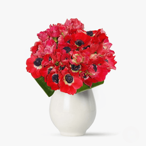 Bouquet of red anemones