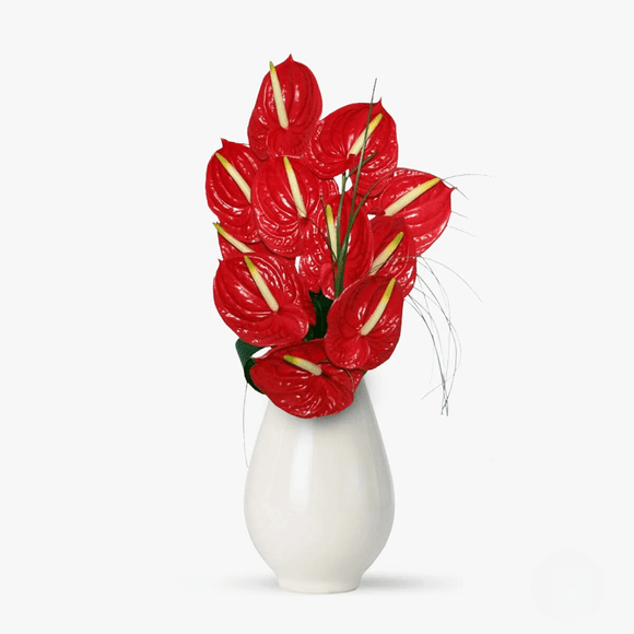 Bouquet of 11 red anthuriums