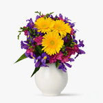 ezgif.com-webp-to