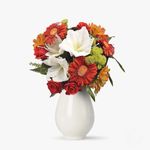 ezgif.com-webp-to