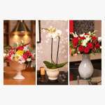 Flori pentru fiecare camera