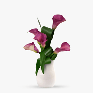 Bouquet of 5 pink calla lilies