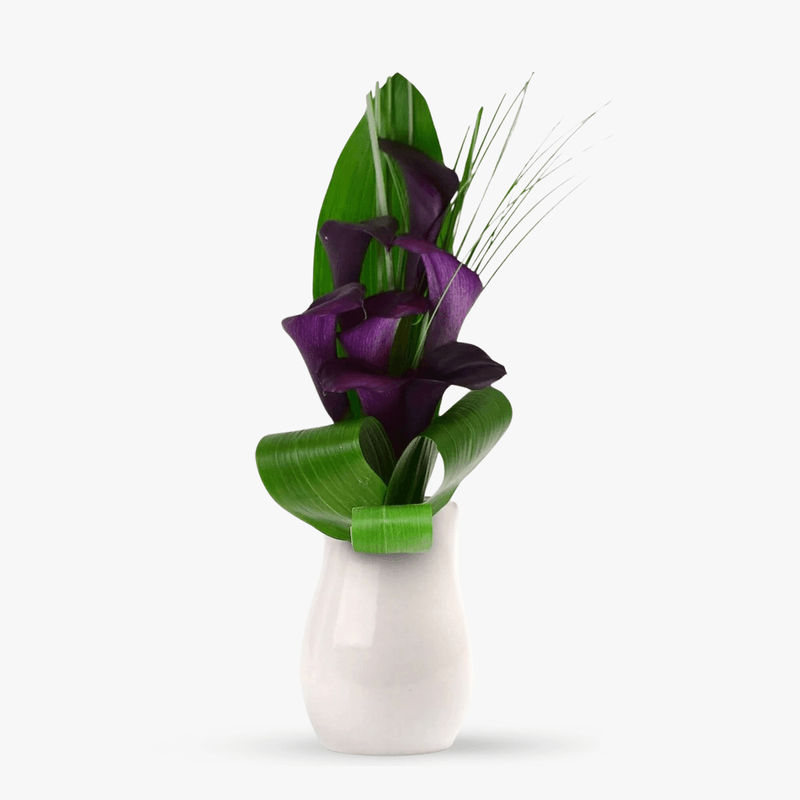 Buchet-de-7-cale-mov