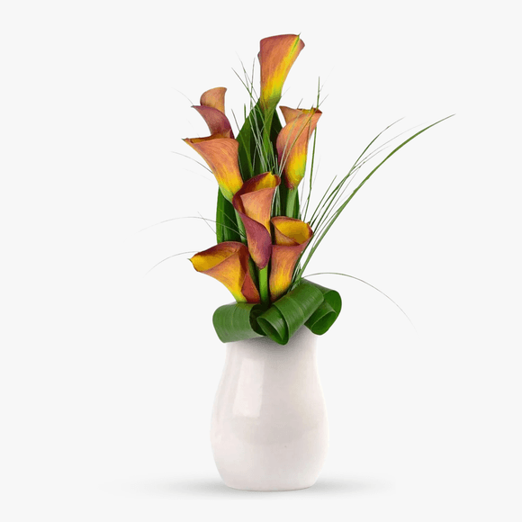 Bouquet of 7 orange calla lilies