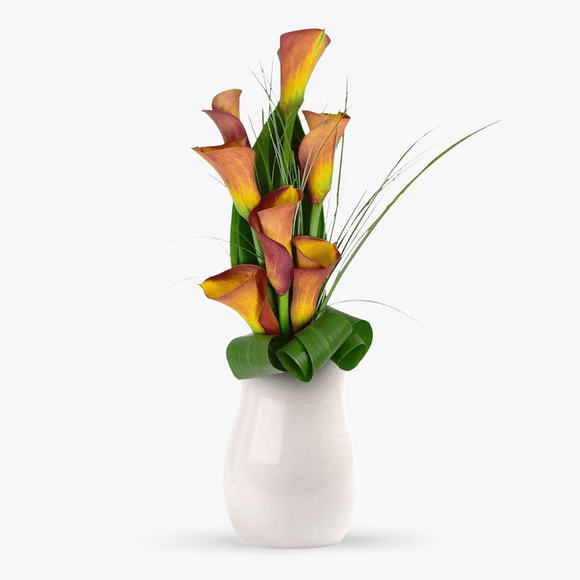 Bouquet of 11 orange calla lilies