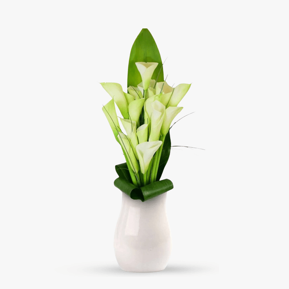 Bouquet of 15 white calla lilies