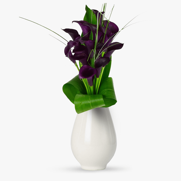 Bouquet of 15 purple calla lilies