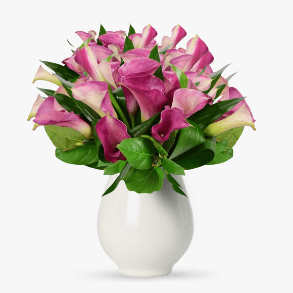 Bouquet of 25 pink calla lilies