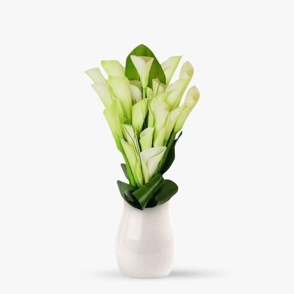 Bouquet of 25 white calla lilies