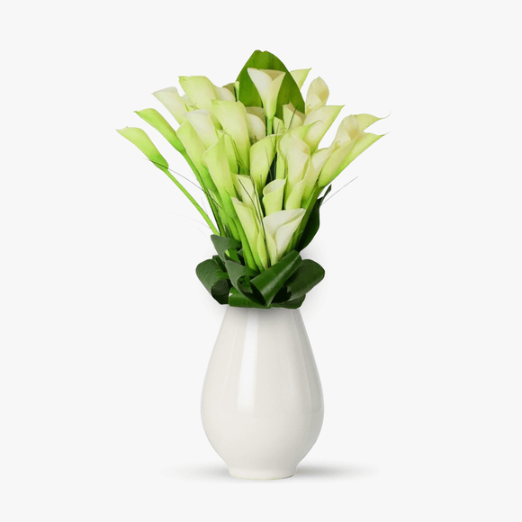 Bouquet of 35 white calla lilies