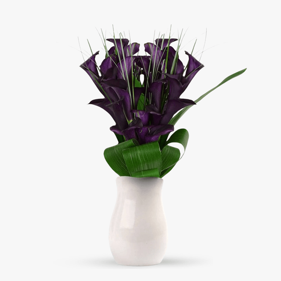 Bouquet of 35 purple calla lilies