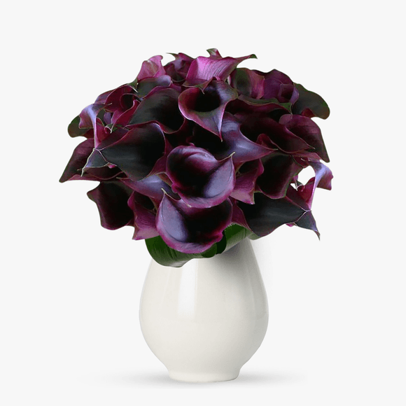 Buchet de 55 cale mov