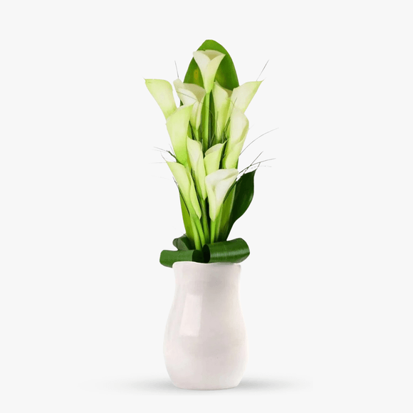 Bouquet of 11 white calla lilies